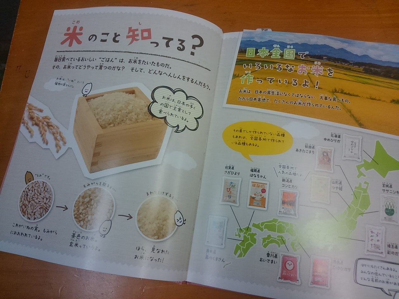 「ひなあられ」が学校図書に紹介されました みなとや