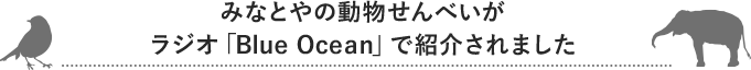 みなとやの動物せんべいがラジオ「Blue Ocean」で紹介されました