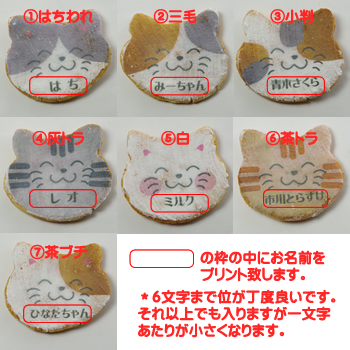 デザイン見本