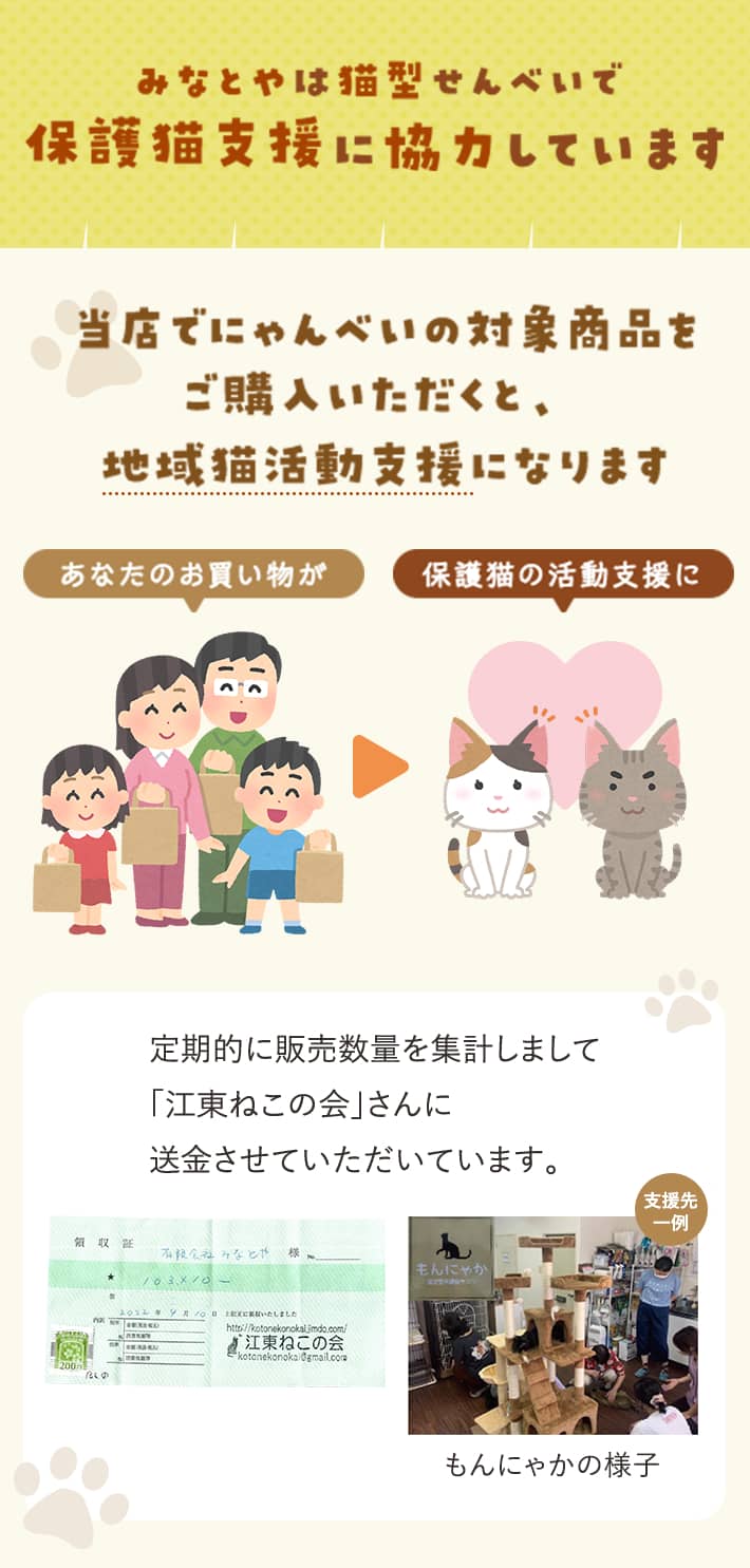 保護猫支援