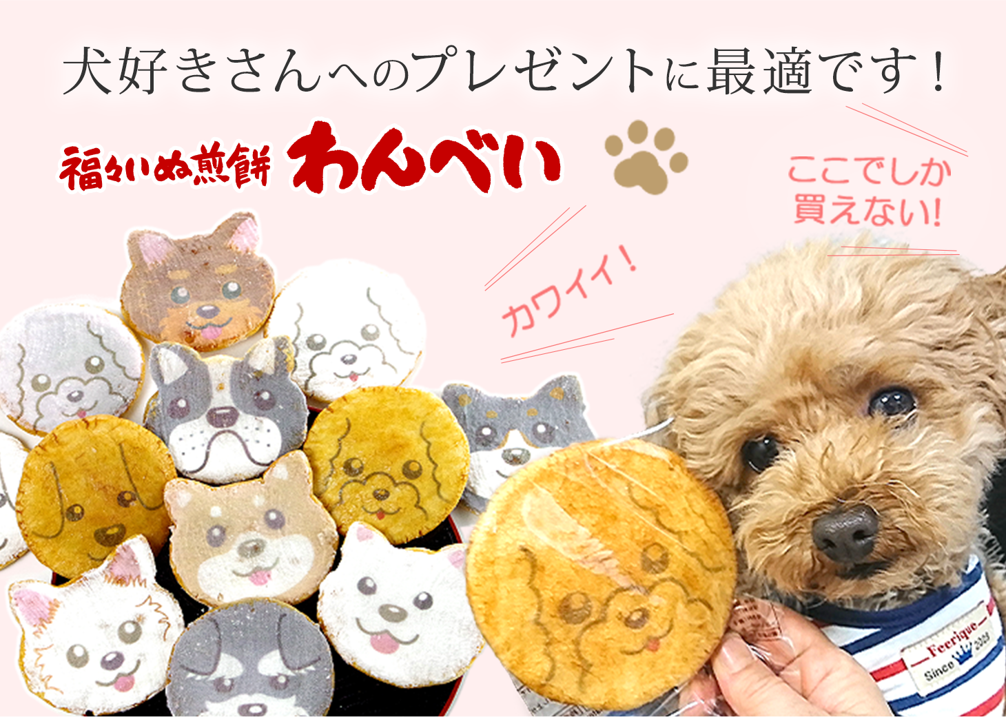 犬の形お菓子通販 犬モチーフのせんべい みなとや