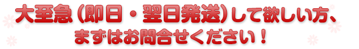 大至急（即日・翌日発送）して欲しい方、まずはお問合せください！